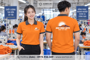 Đồng phục công ty DP48