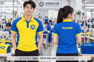Đồng phục công ty DP27