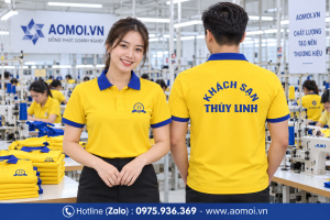 Đồng phục công ty DP11