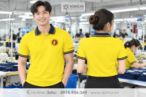 Đồng phục công ty DP29