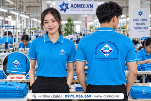 Đồng phục công ty DP30